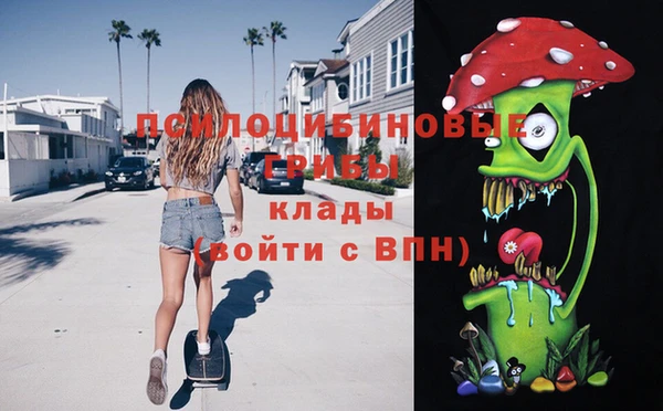 гашик Абинск