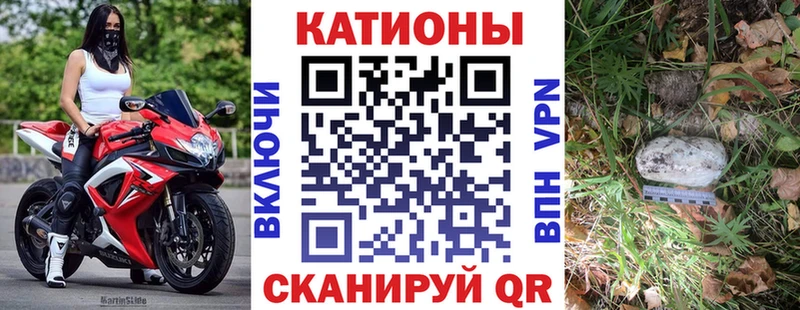 МЕФ  Александров