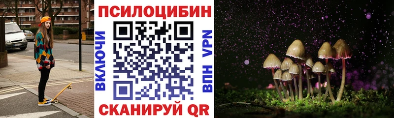 Галлюциногенные грибы GOLDEN TEACHER  купить наркоту  Александров 
