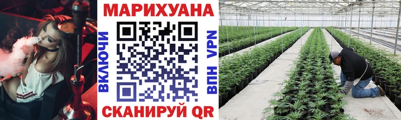 гидра ссылки  Александров  мориарти Telegram  Бошки марихуана SATIVA & INDICA 